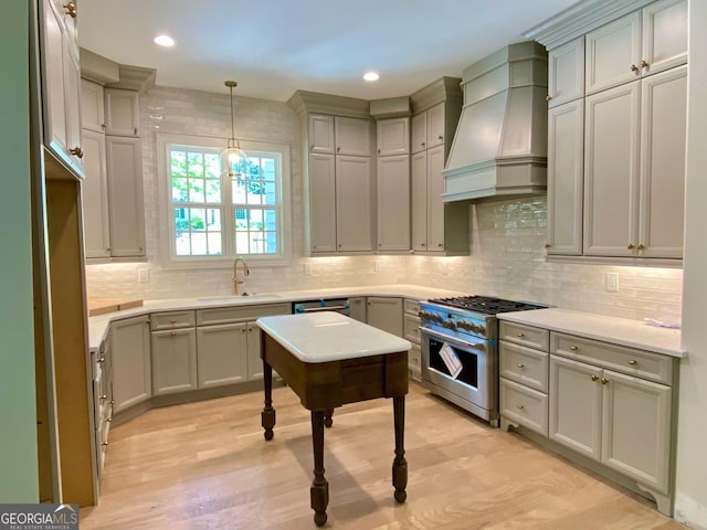 7 Fontaine Dr, Newnan, GA 30263 - kitchen with custom exhaust hood, stainless steel appliances, a sink, tasteful backsplash, and light wood finished floors