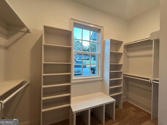 7 Fontaine Dr, Newnan, GA 30263 - view of walk in closet