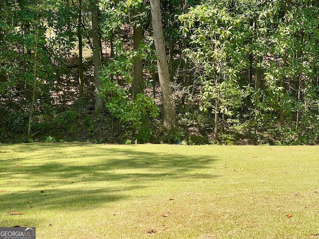 7 Fontaine Dr, Newnan, GA 30263 - view of grassy yard