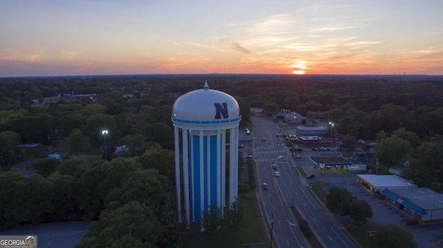 7 Fontaine Dr, Newnan, GA 30263 - aerial view at dusk of a forest view