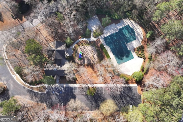 2002 Stonewick Ct, Lawrenceville, GA 30043 - view from above of property