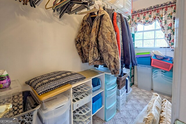 1327 Pinnacle Dr, Clayton, GA 30525 - view of walk in closet