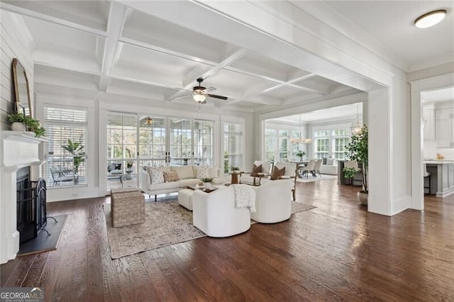 spare room featuring healthy amount of natural light, dark wood-style floors, ceiling fan, crown molding, and baseboards