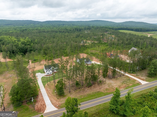 561 Jugtown Rd, Meansville, GA 30256 - drone / aerial view of a forest