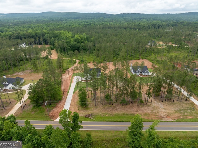 561 Jugtown Rd, Meansville, GA 30256 - bird's eye view of a forest