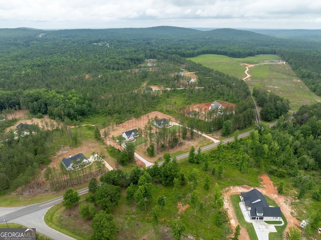 561 Jugtown Rd, Meansville, GA 30256 - view of property location featuring a forest