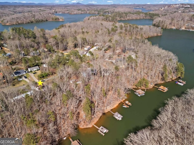 aerial view featuring a forest view and a water view