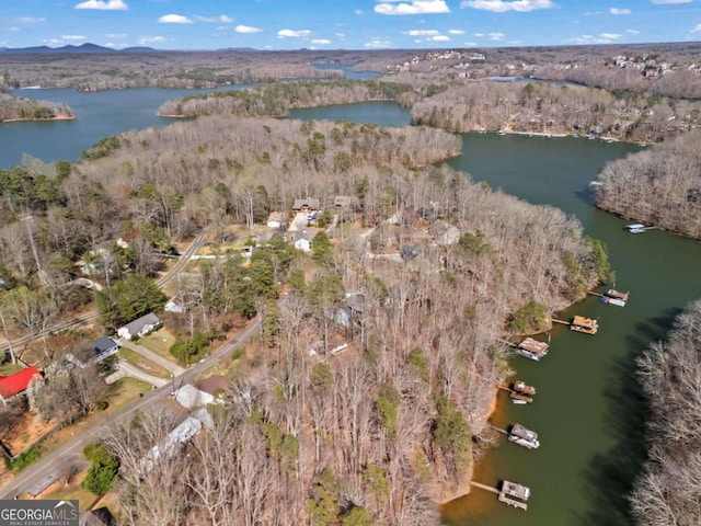 drone / aerial view featuring a view of trees and a water view