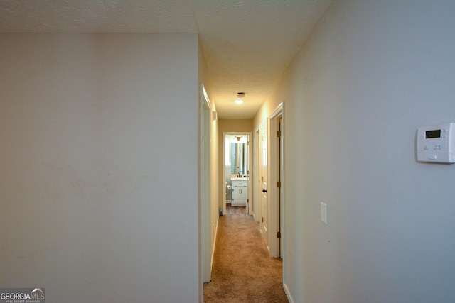 98 Brenda Cir, Rockmart, GA 30153 - corridor with light colored carpet, baseboards, and a textured ceiling