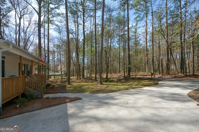 98 Brenda Cir, Rockmart, GA 30153 - view of yard with a porch and concrete driveway