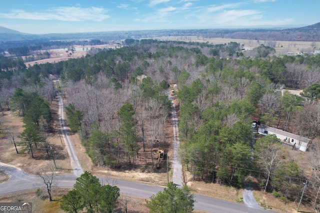 birds eye view of property with a wooded view