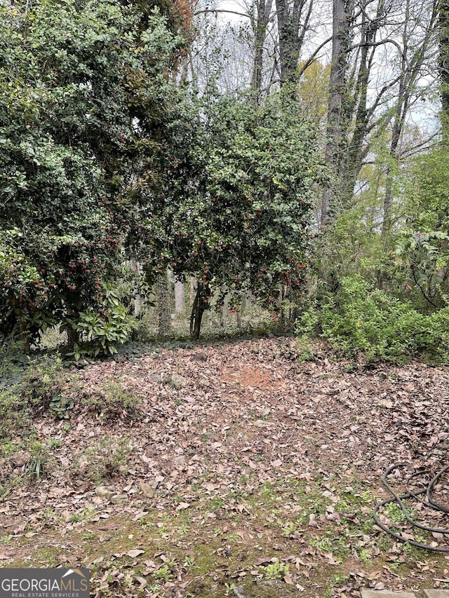 view of local wilderness