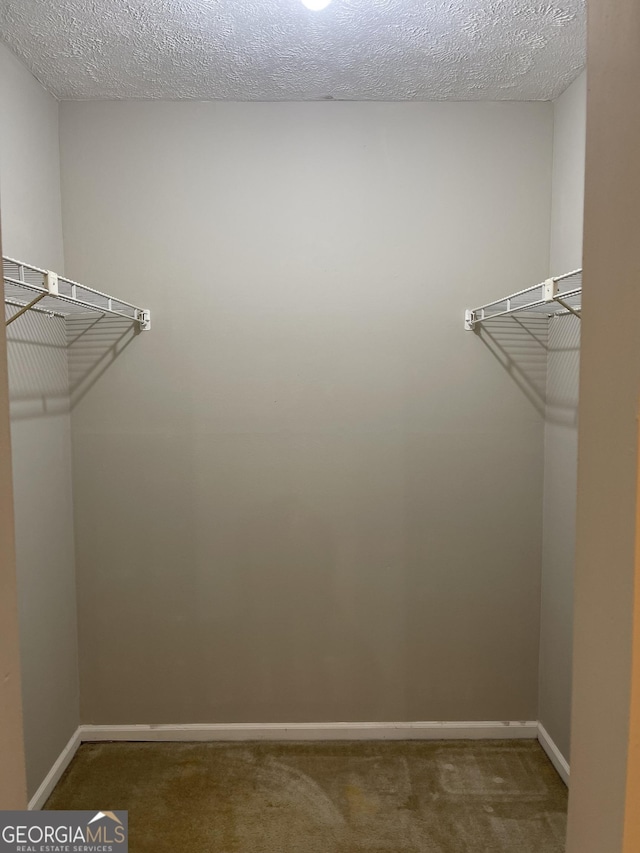 spacious closet featuring carpet flooring