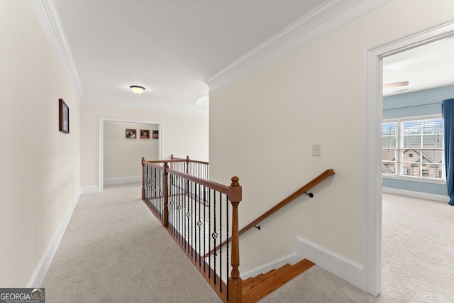 interior space with crown molding, baseboards, and carpet floors
