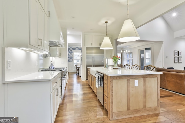 kitchen featuring light countertops, ventilation hood, light wood finished floors, open floor plan, and stainless steel appliances