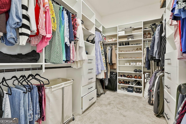 walk in closet with carpet flooring