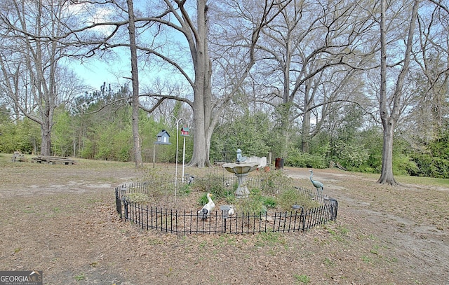 151 Flat Shoals Rd, Woodbury, GA 30293 - view of yard