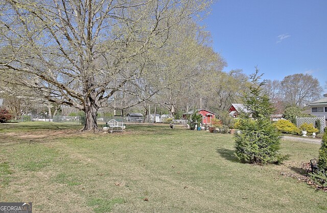 151 Flat Shoals Rd, Woodbury, GA 30293 - view of yard