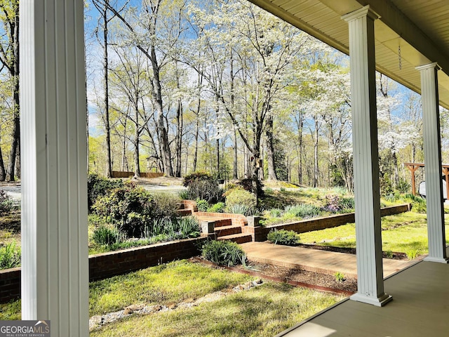 285 W0Lf Den Rd, Royston, GA 30662 - view of yard
