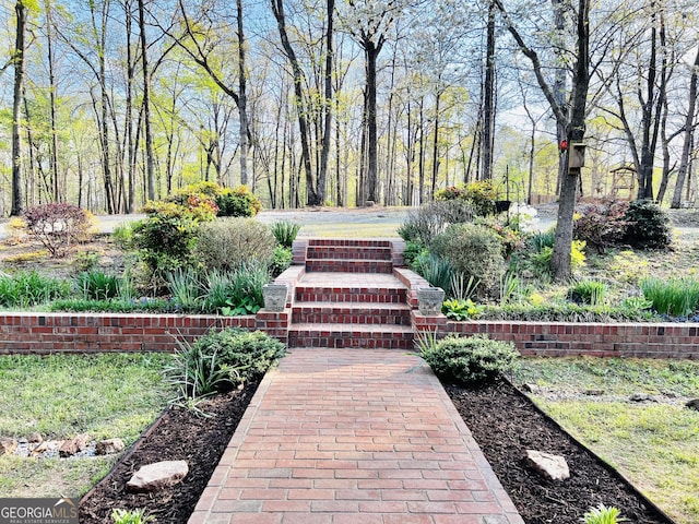 285 W0Lf Den Rd, Royston, GA 30662 - view of home's community