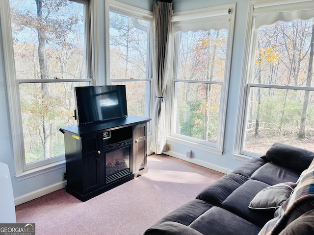 285 W0Lf Den Rd, Royston, GA 30662 - carpeted living area featuring baseboards and plenty of natural light