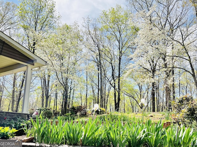 285 W0Lf Den Rd, Royston, GA 30662 - view of yard