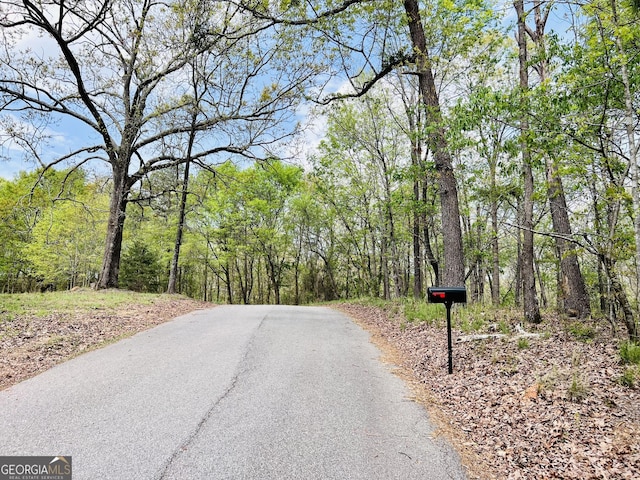 285 W0Lf Den Rd, Royston, GA 30662 - view of asphalt road featuring a forest view