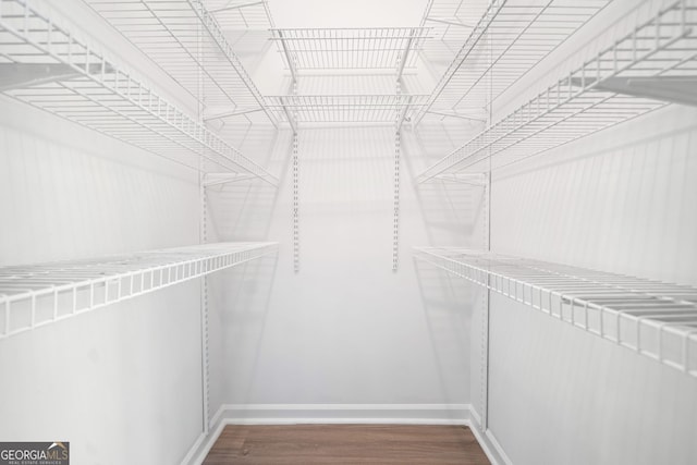 walk in closet featuring wood finished floors