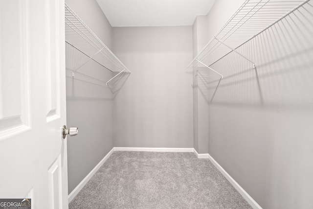 spacious closet with carpet floors