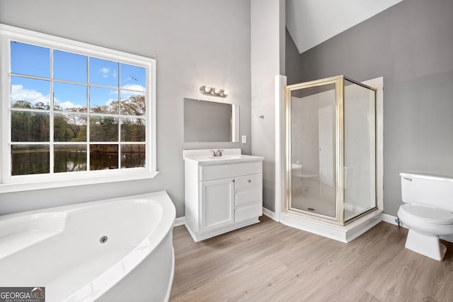 bathroom with a shower stall, wood finished floors, vanity, and toilet