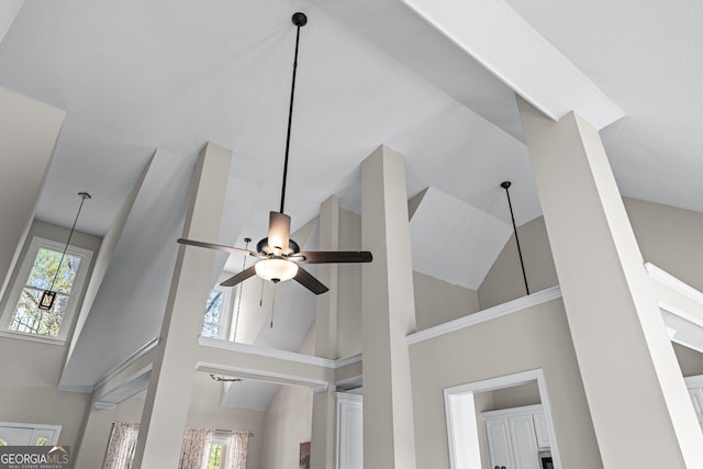 details with a ceiling fan