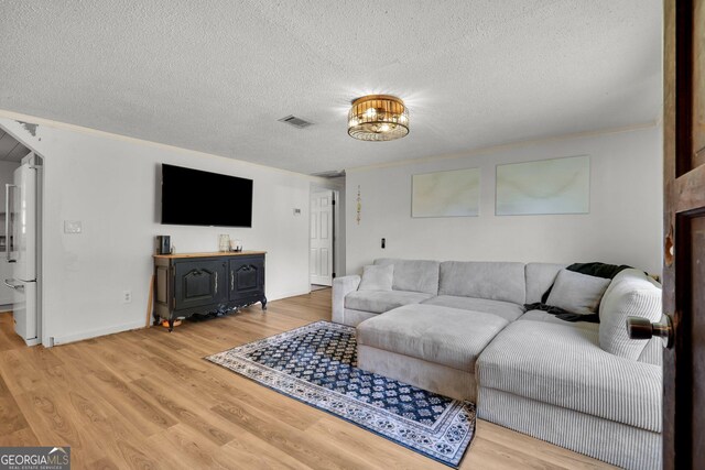 132 4th St, Meldrim, GA 31318 - living area featuring visible vents, light wood-style floors, and a textured ceiling
