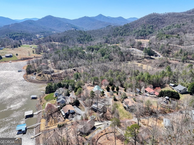 625 Sunnyside Shores Rd, Hiawassee, GA 30546 - drone / aerial view with a view of trees and a water and mountain view