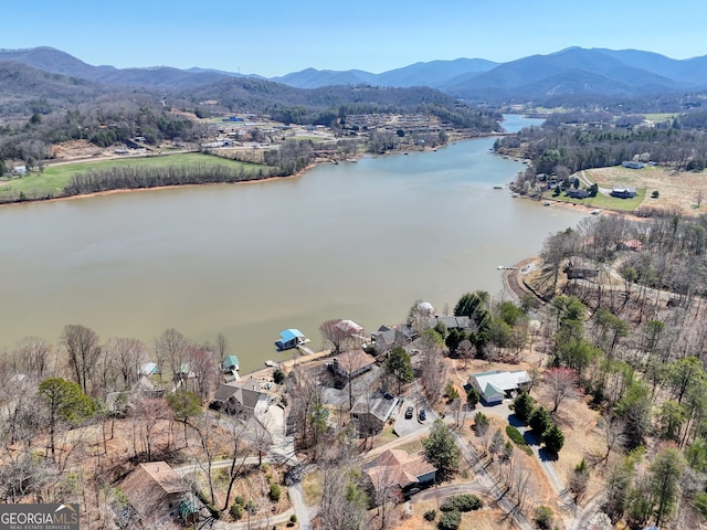 625 Sunnyside Shores Rd, Hiawassee, GA 30546 - drone / aerial view with a water and mountain view