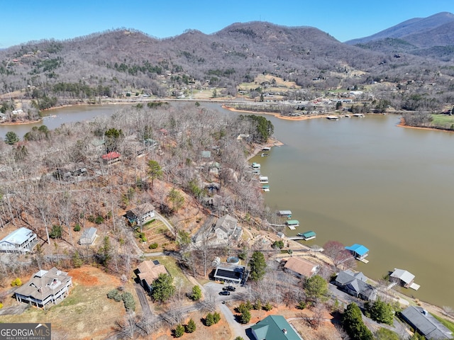625 Sunnyside Shores Rd, Hiawassee, GA 30546 - bird's eye view with a water and mountain view