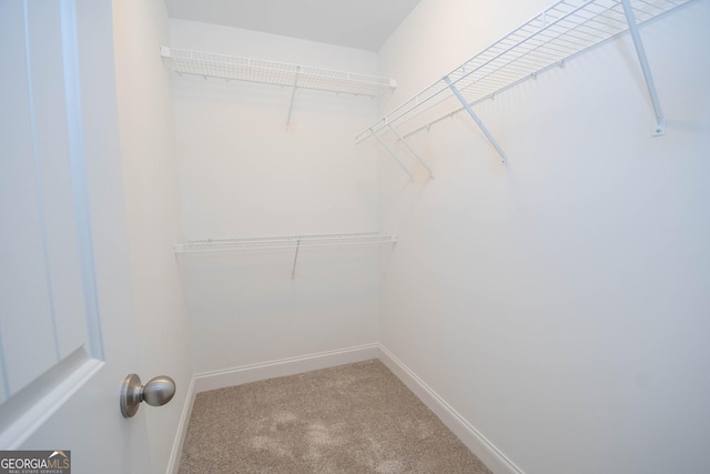 104 Park View Dr, Grantville, GA 30220 - spacious closet featuring carpet