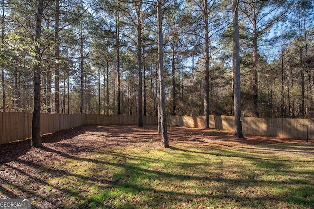 104 Park View Dr, Grantville, GA 30220 - view of yard featuring a fenced backyard