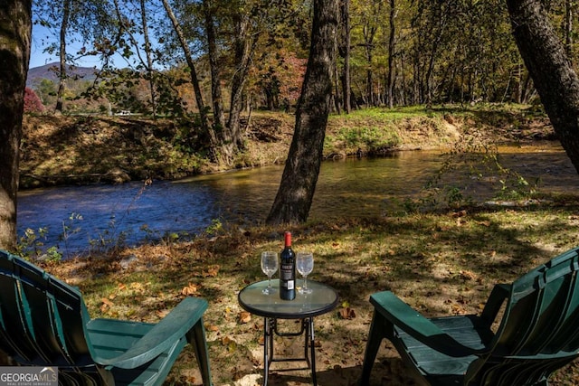 2778 Kelly Ln, Hiawassee, GA 30546 - view of yard
