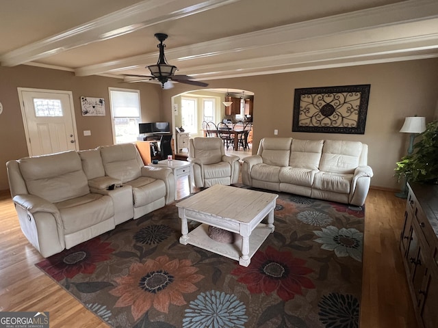 living area featuring wood finished floors, ceiling fan with notable chandelier, a healthy amount of sunlight, beamed ceiling, and arched walkways