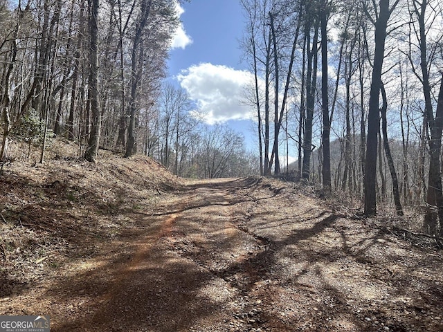 0 Firetower Rd, Jasper, GA 30143