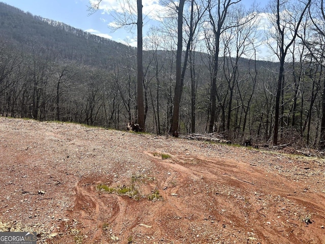 0 Firetower Rd, Jasper, GA 30143
