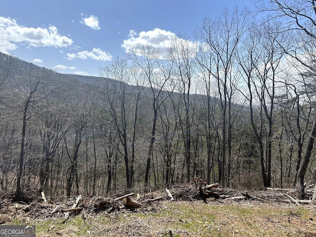 0 Firetower Rd, Jasper, GA 30143