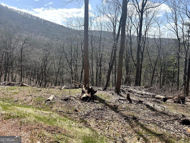 0 Firetower Rd, Jasper, GA 30143