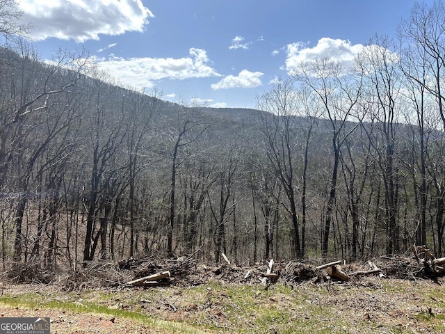 0 Firetower Rd, Jasper, GA 30143