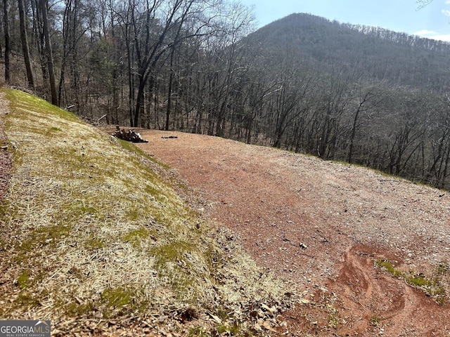 0 Firetower Rd, Jasper, GA 30143
