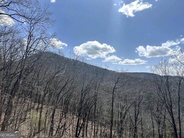 0 Firetower Rd, Jasper, GA 30143