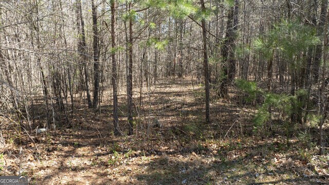 0 Bent Tree Ct Lot A-20, Newnan, GA 30263
