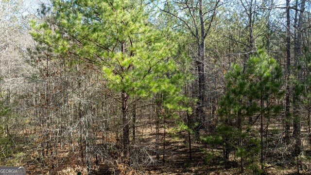 0 Bent Tree Ct Lot A-20, Newnan, GA 30263