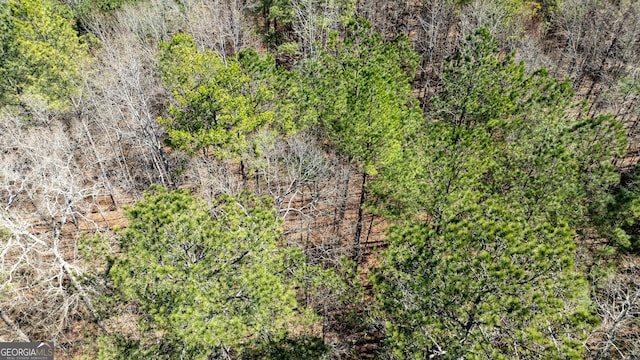 0 Bent Tree Ct Lot A-20, Newnan, GA 30263