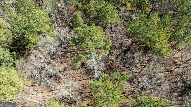 0 Bent Tree Ct Lot A-20, Newnan, GA 30263